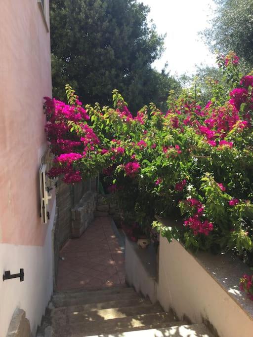Bilocale Con Spazio Esterno Apartamento Casa Azara